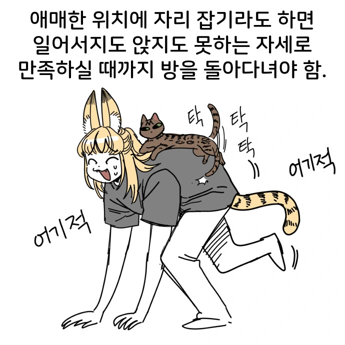 어깨냥이 만화 - 이미지 4