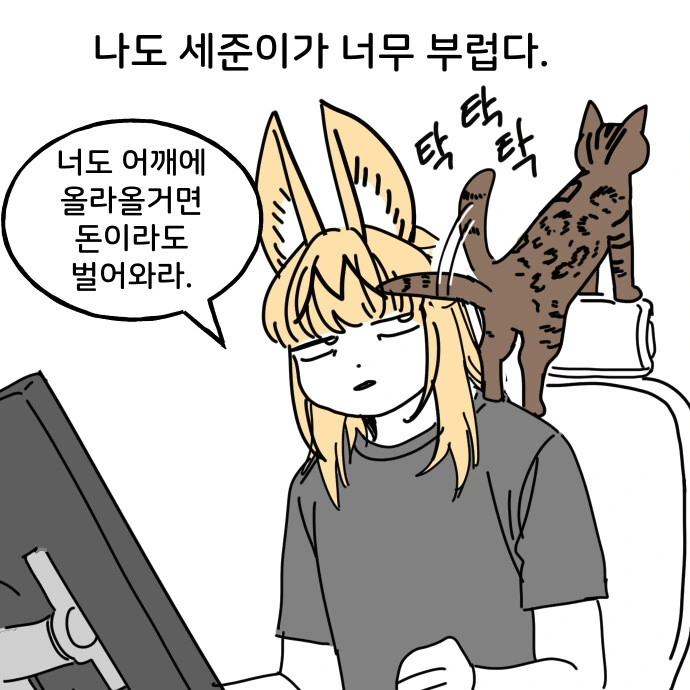 어깨냥이 만화 - 이미지 6