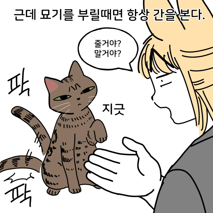 어깨냥이 만화 - 이미지 9
