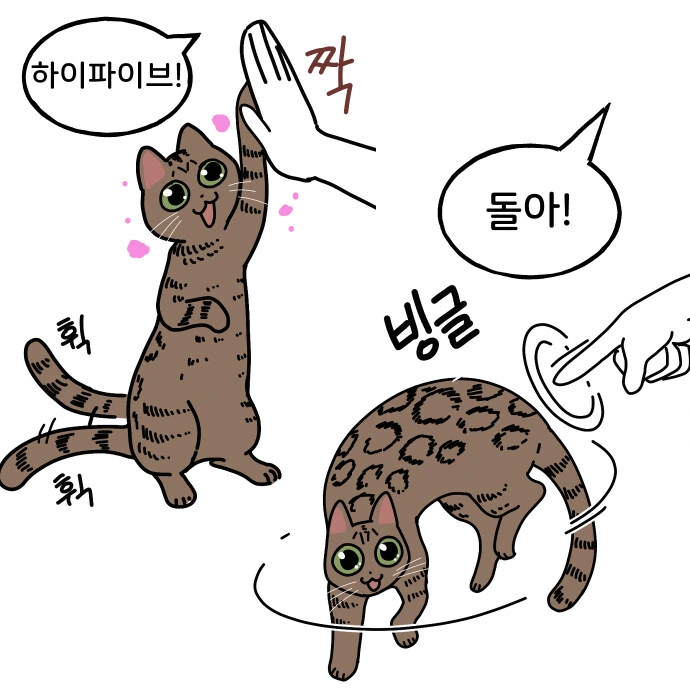 어깨냥이 만화 - 이미지 12