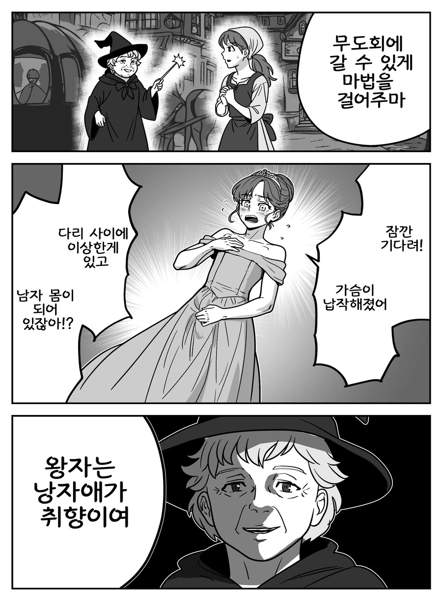 왕자의 취향에 맞춰진 신데렐라.manhwa