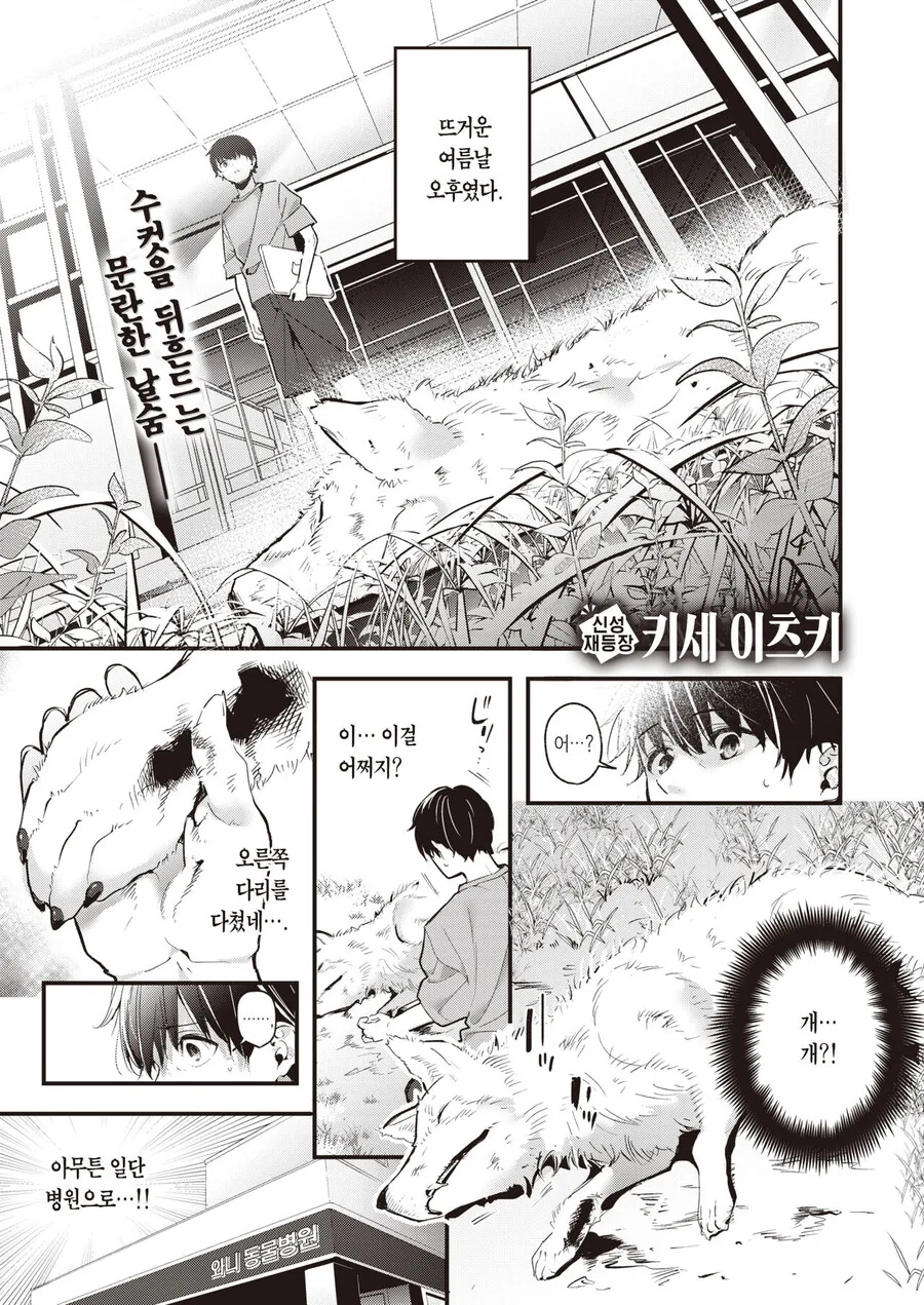 댕댕이 은혜갚는.manhwa