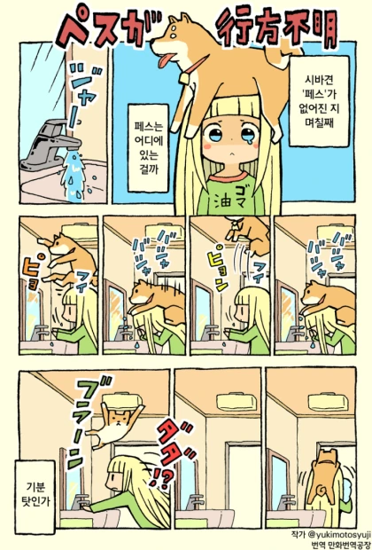 시바견 페스를 잃어버린지 며칠째.manwha