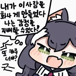 감정을 지배할수있는 캬루