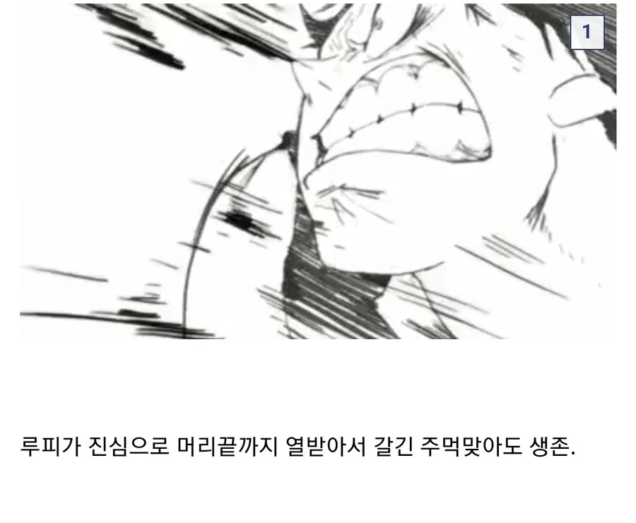 원피스) 의외로 많이 맞은 새끼