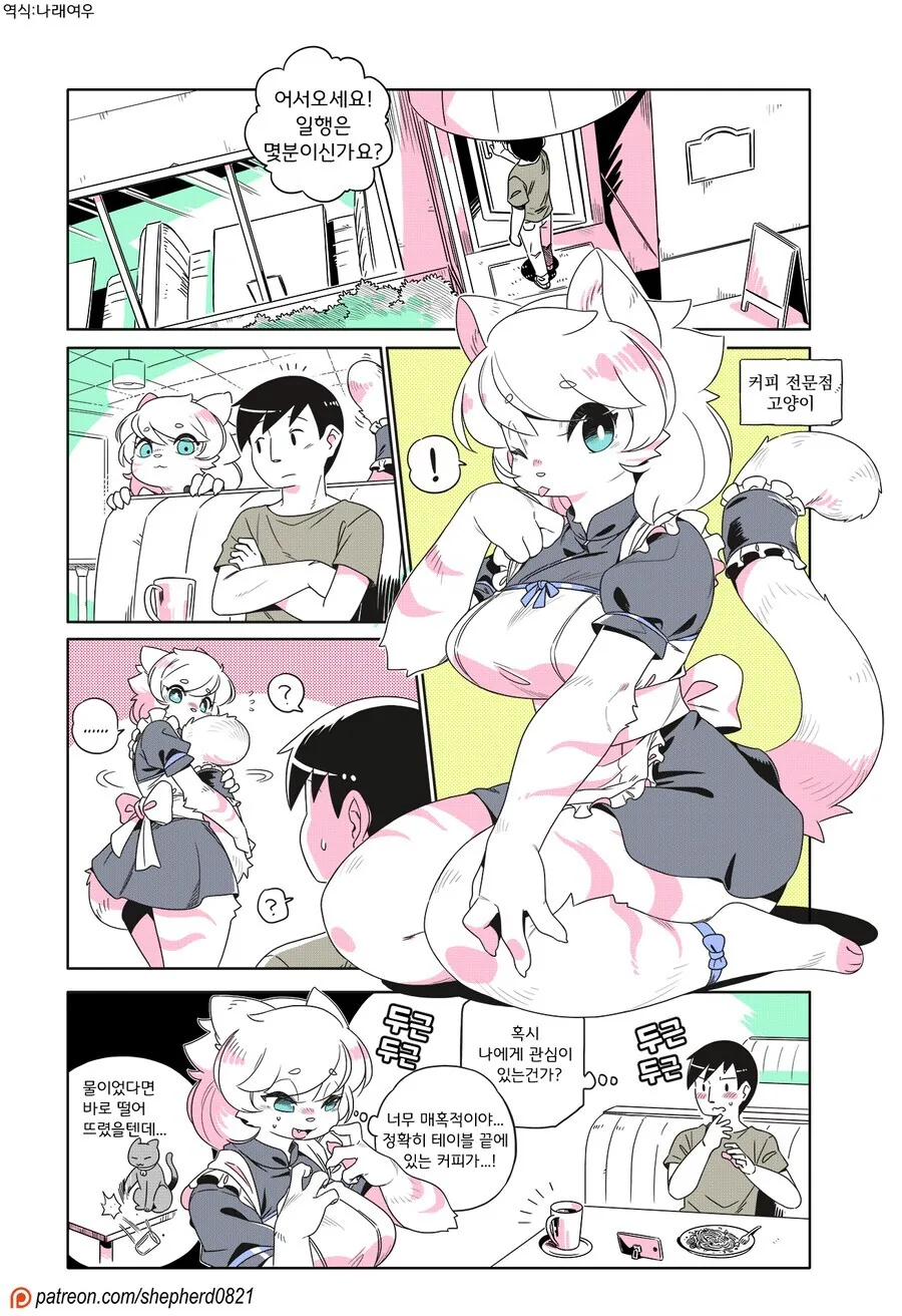 고양이카페 만화