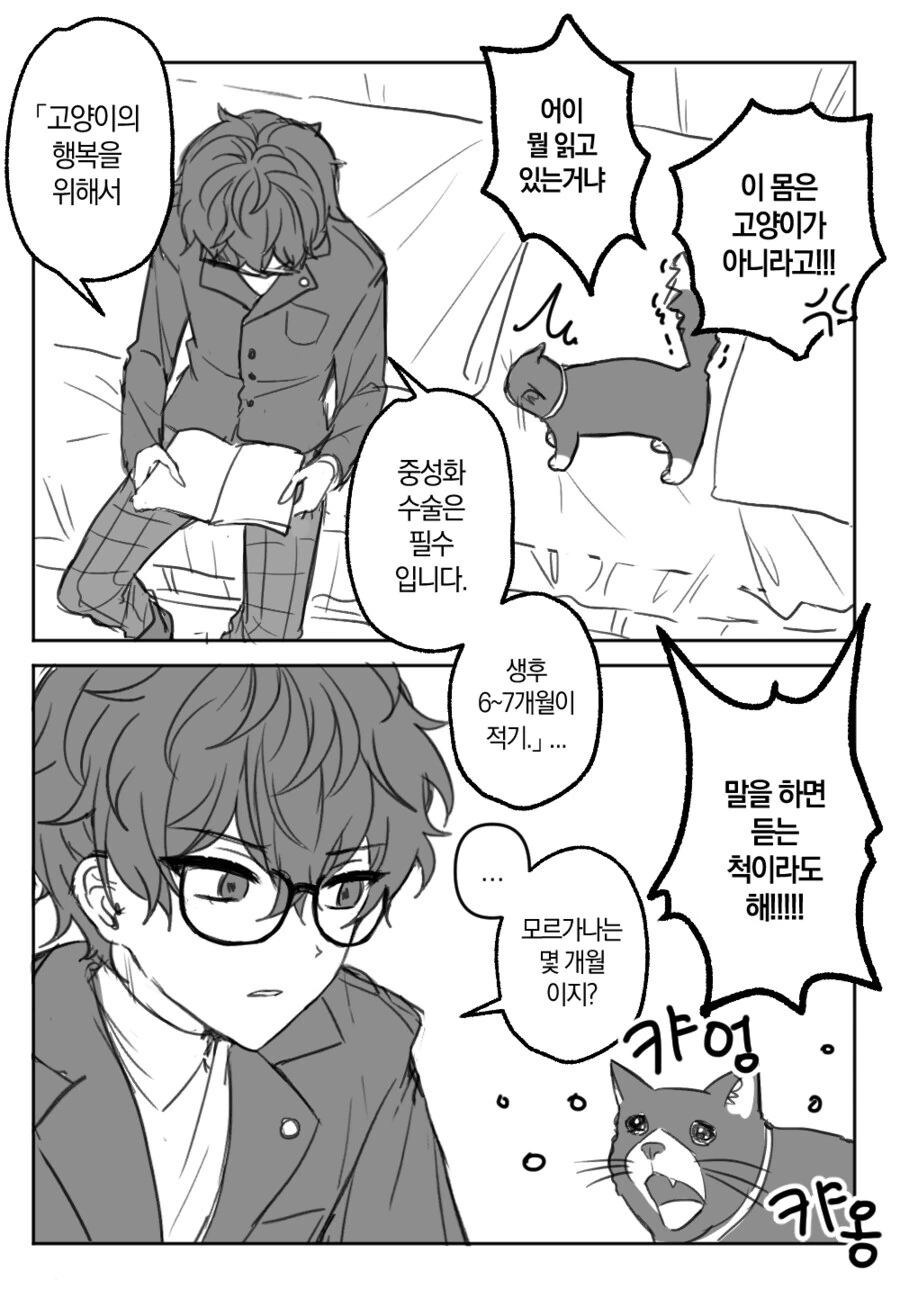 페르소나4 주인공이 아니라서 다행인 만화