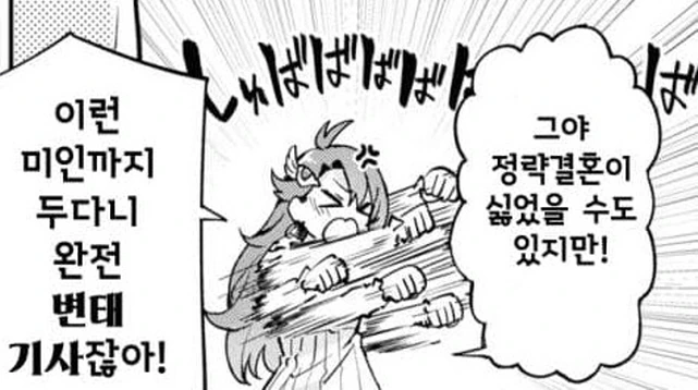 흑기사 남편과 첫날밤이 기대가 된다는 신부 만화 - 이미지 8
