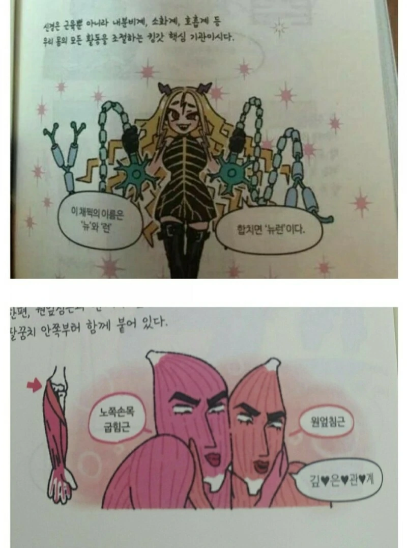 뭔가 이상한 교육 만화 - 이미지 2