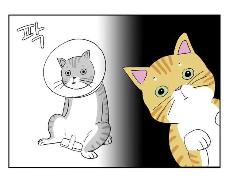 돈까스 먹으러 가자.manga - 이미지 4