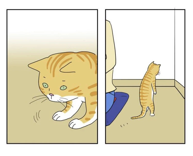 돈까스 먹으러 가자.manga - 이미지 5