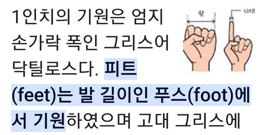 유럽인과 미국인이 치수 잴때.manwha - 이미지 2