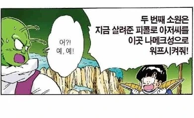 (드래곤볼) 융통성이 없는 나메크인들