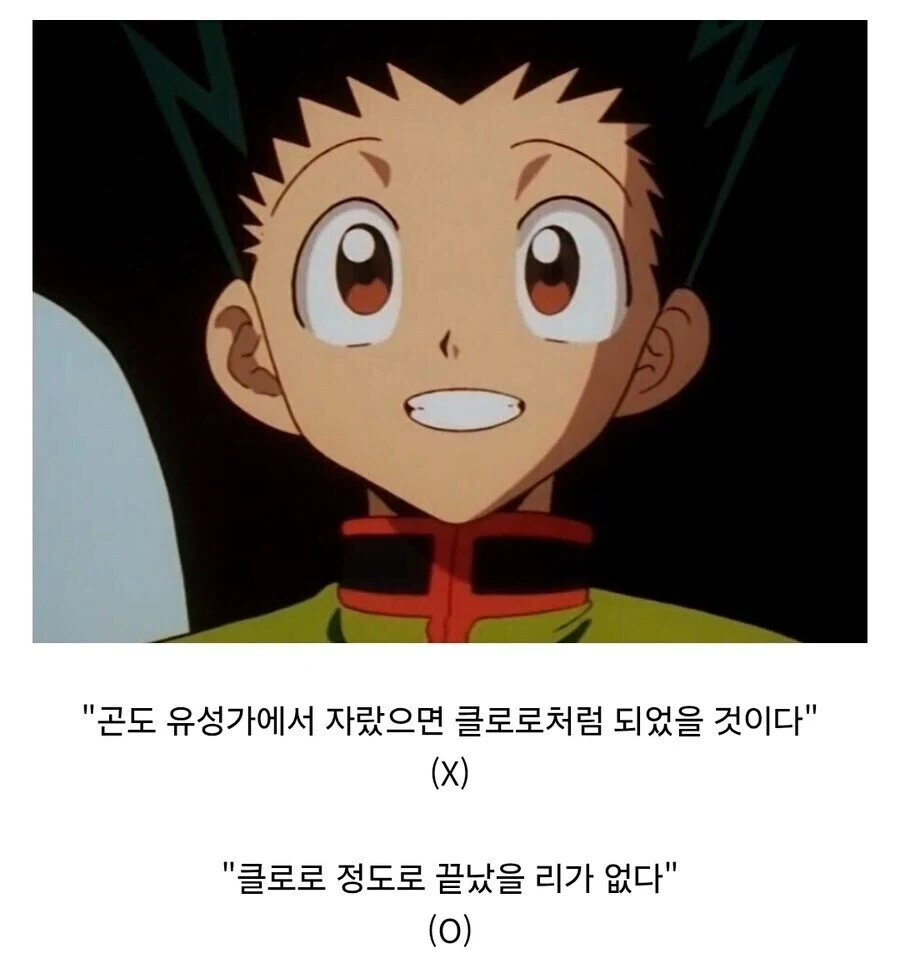 헌터헌터) 팬들사이에서 주인공 취급