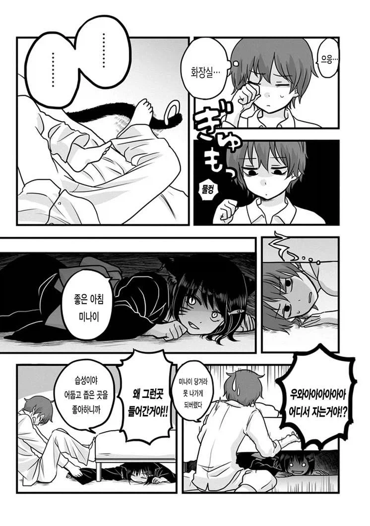 고양이 택배배송 시키는 만화 - 이미지 15