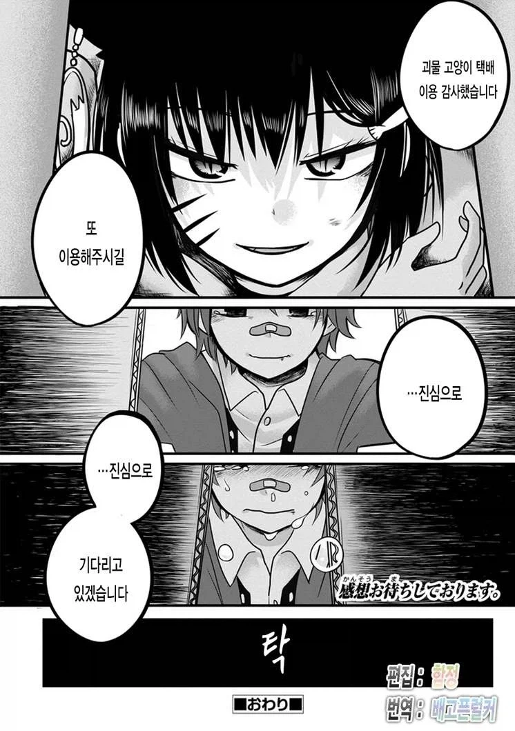 고양이 택배배송 시키는 만화 - 이미지 38