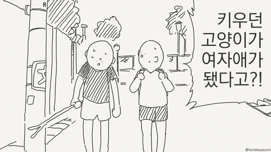 고양이가 사람이 되는 만화
