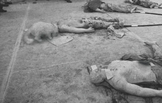 퍼옴)약혐) SCP-3904 "가죽옷을 입은 고양이 두 마리" 만화.manwha - 이미지 4