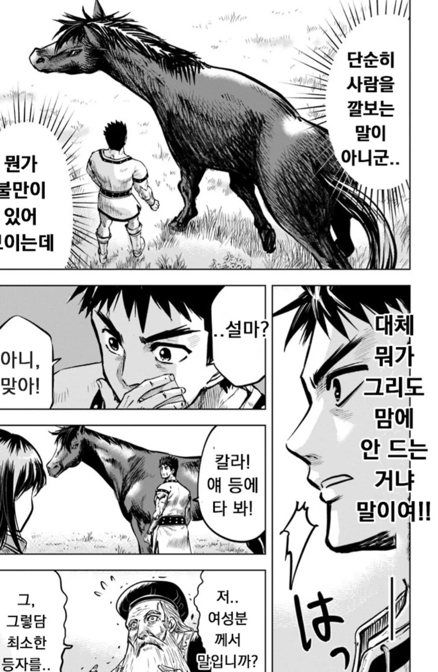 아무도 태우지 않는 난폭한 말을 길들인 방법.manwha - 이미지 3