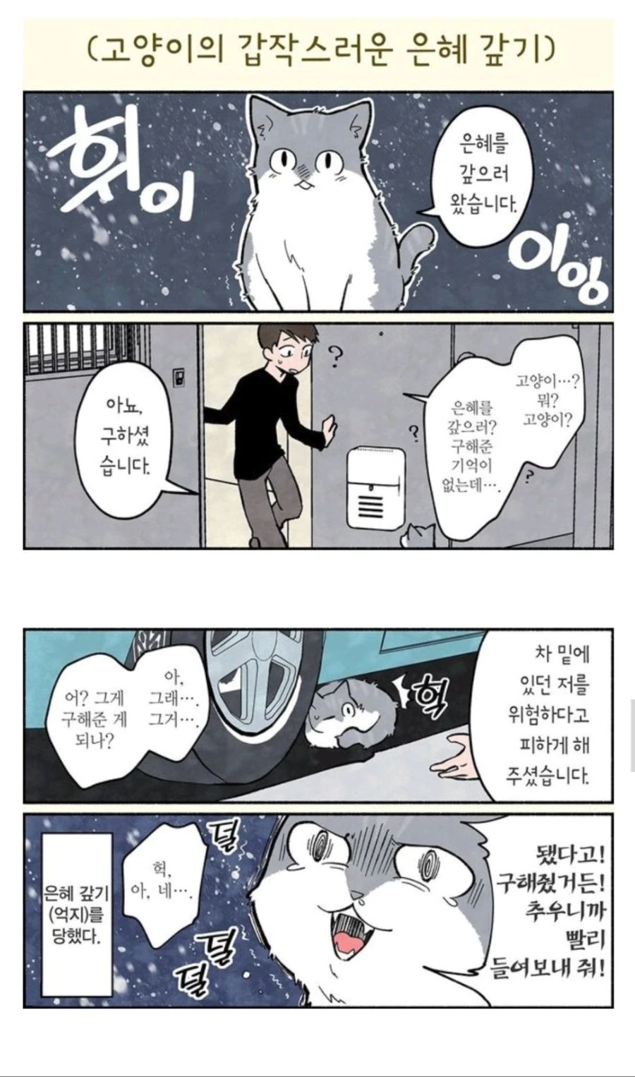 대충 은혜갚는 고양이 만화