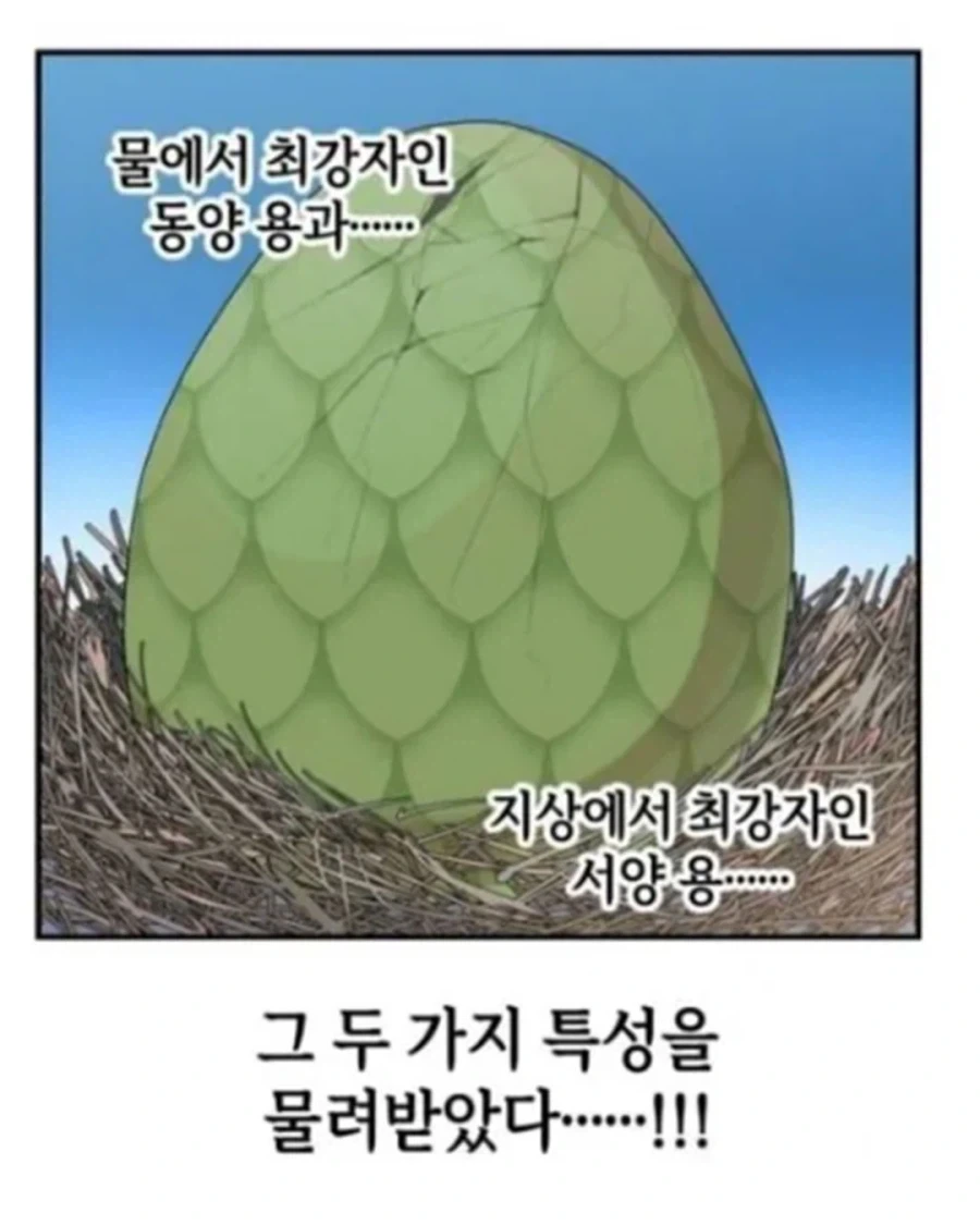 동양 용 vs 서양 용.manhwa - 이미지 9