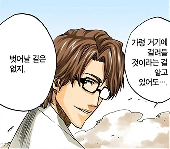 블리치) 이치고는 아이젠의 경화수월을 본 적이 없다.jpg