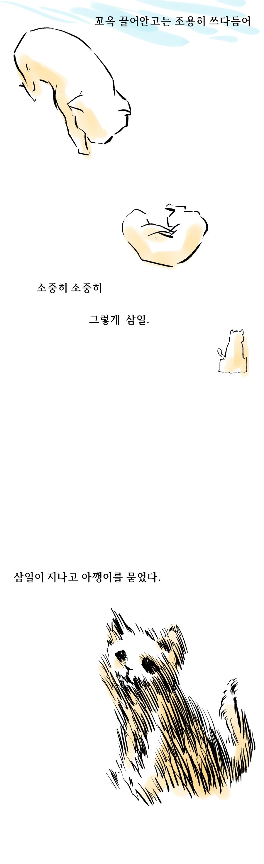 시장에서 사온 오천원.manwha - 이미지 2