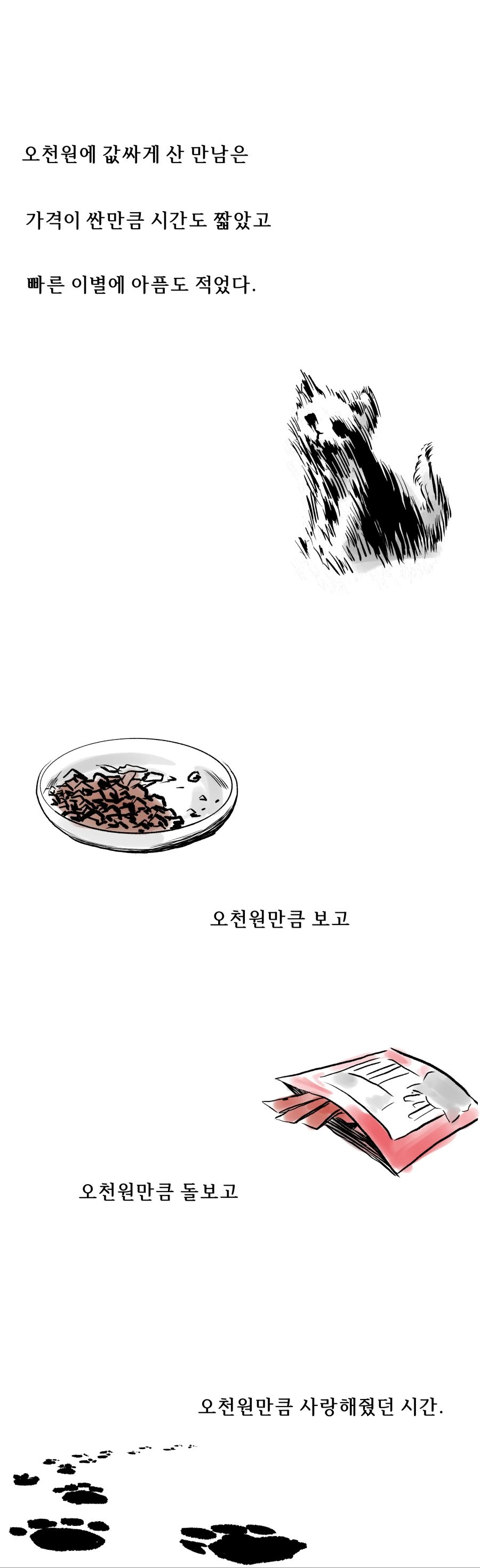 시장에서 사온 오천원.manwha - 이미지 3