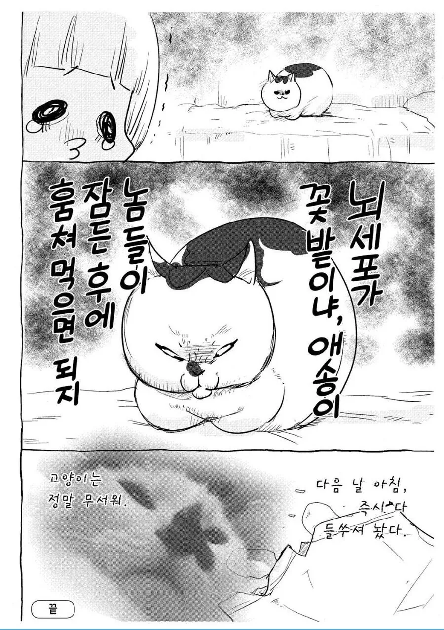 개와 고양이의 차이.manhwa - 이미지 2