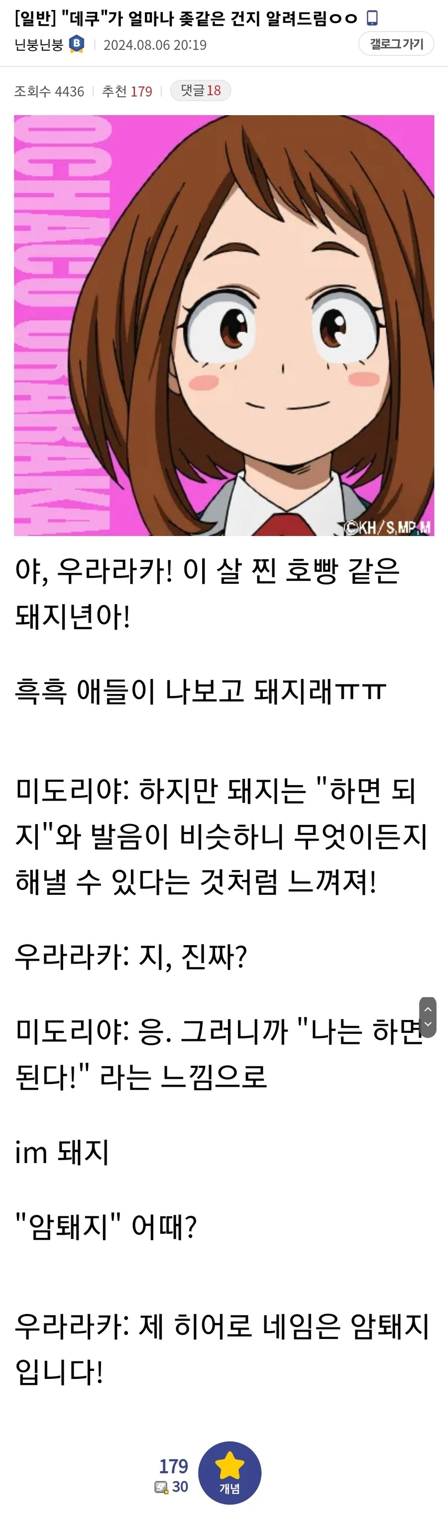히로아카) 새삼 돌이켜보니 파괴적이었던 히어로 네임 데쿠