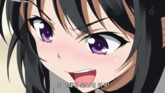 요조라와 세나 - 이미지 7