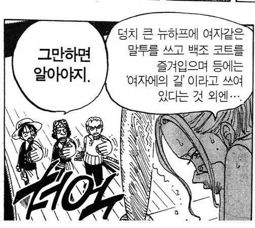 원피스]조로 : 그만하면 알아야지