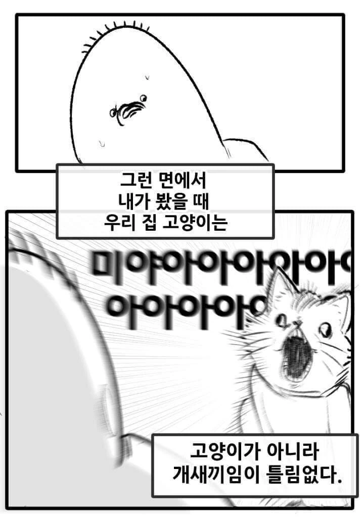 산책 가고 싶은 고양이 manhwa - 이미지 2