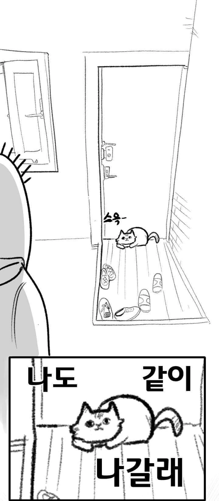 산책 가고 싶은 고양이 manhwa - 이미지 5