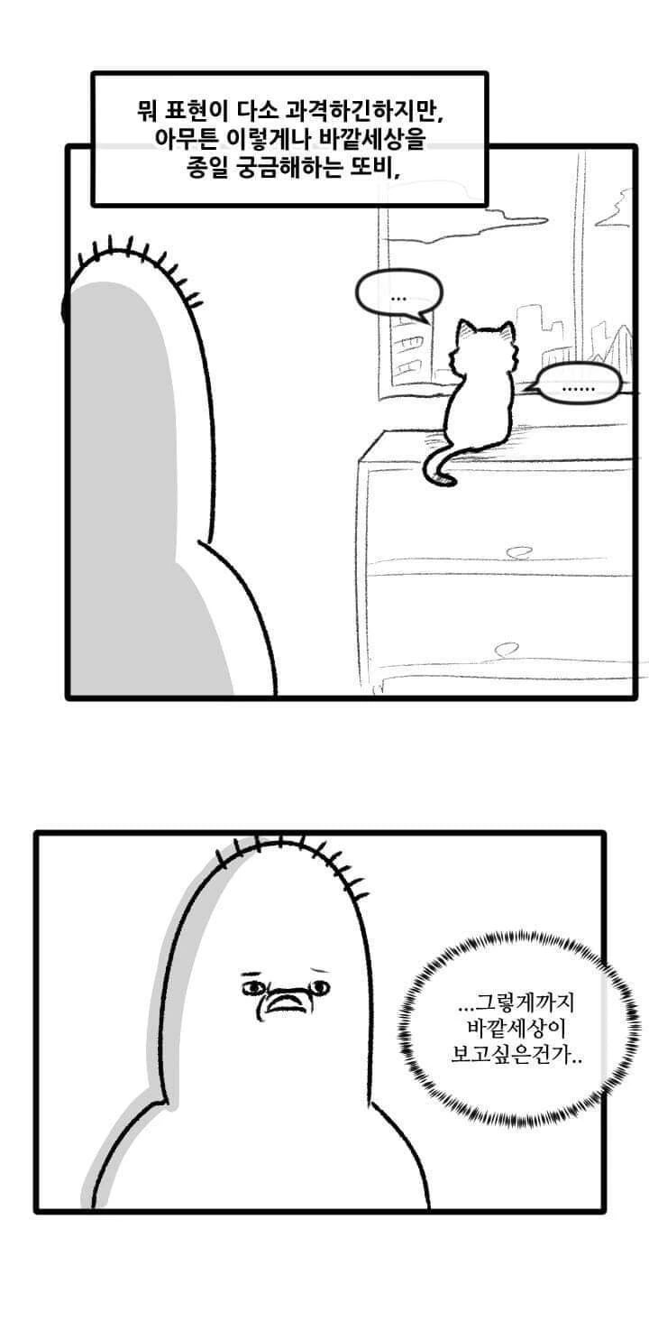 산책 가고 싶은 고양이 manhwa - 이미지 12
