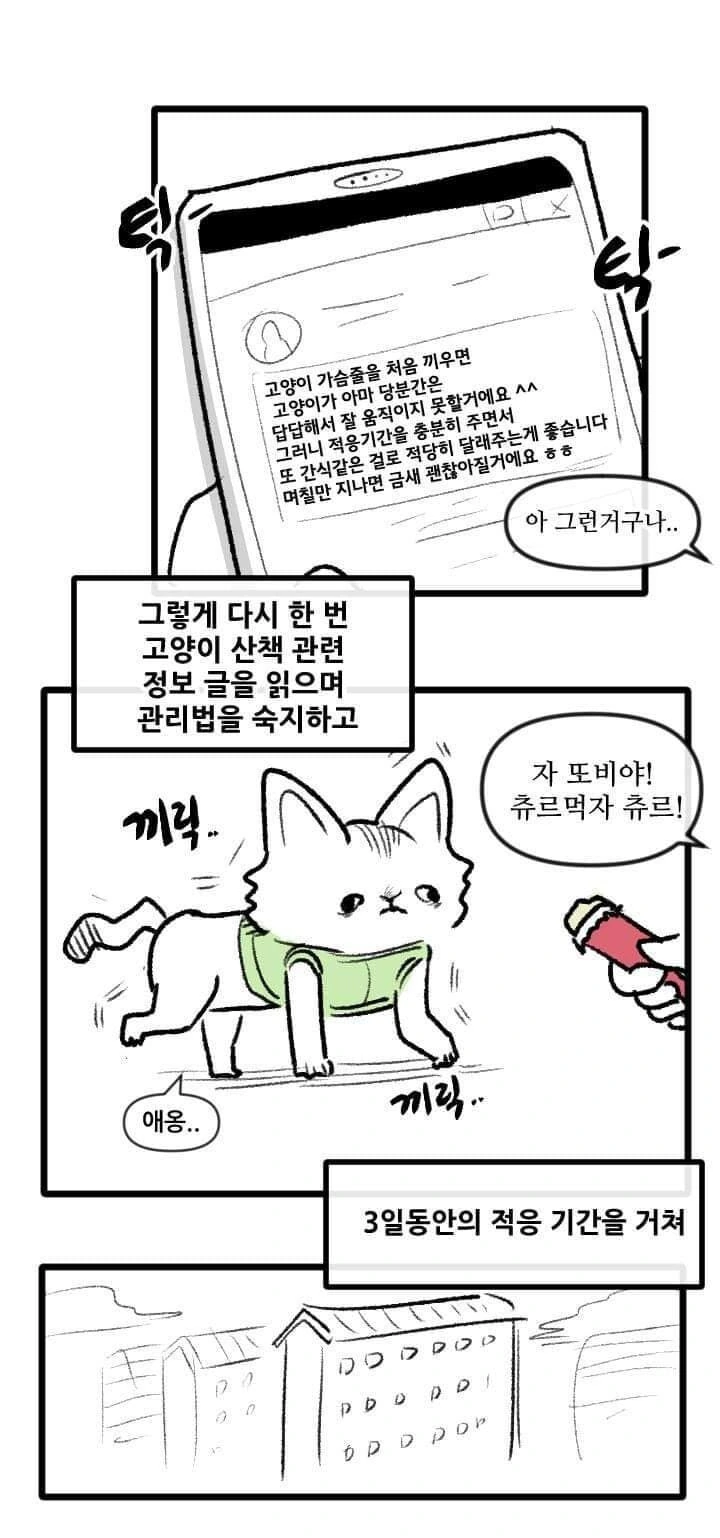 산책 가고 싶은 고양이 manhwa - 이미지 16