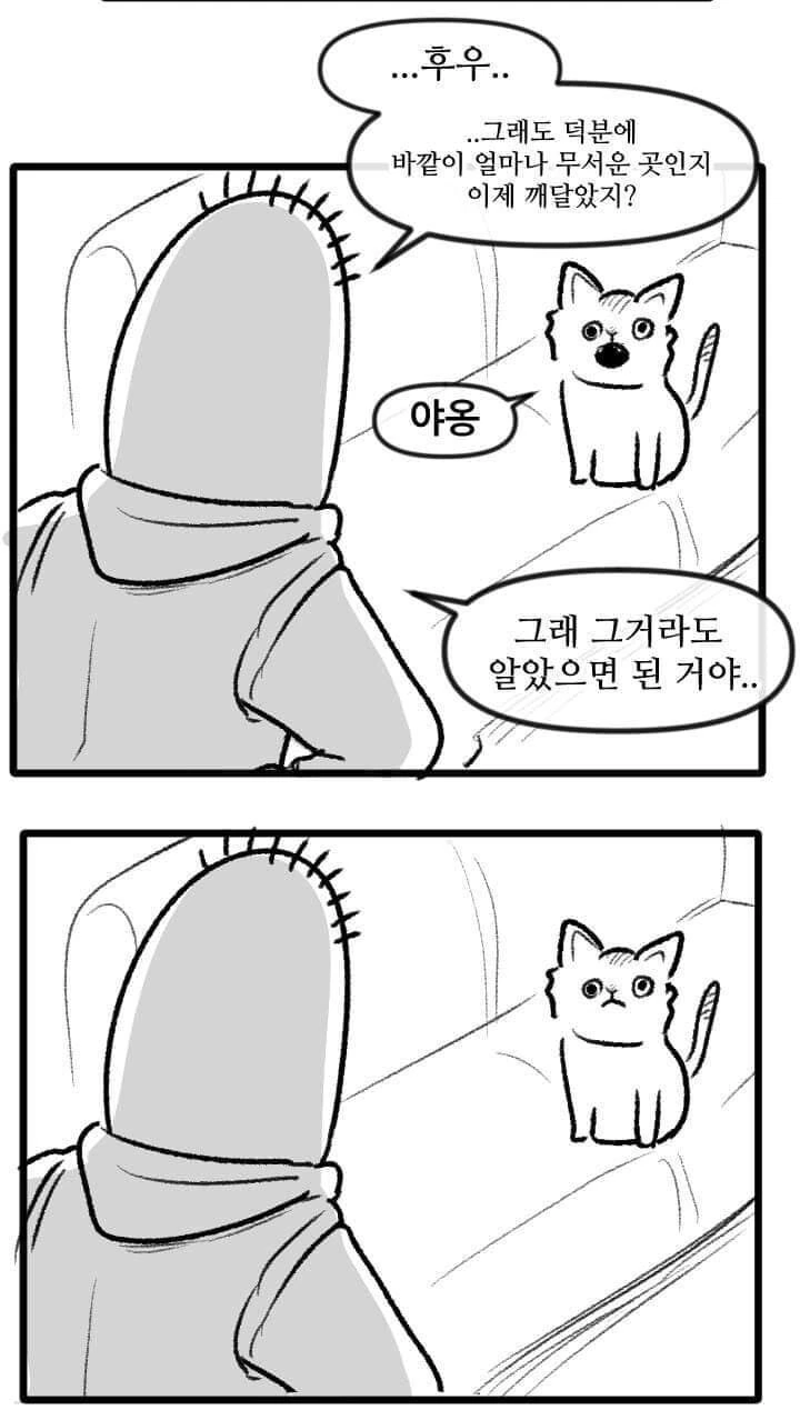 산책 가고 싶은 고양이 manhwa - 이미지 26