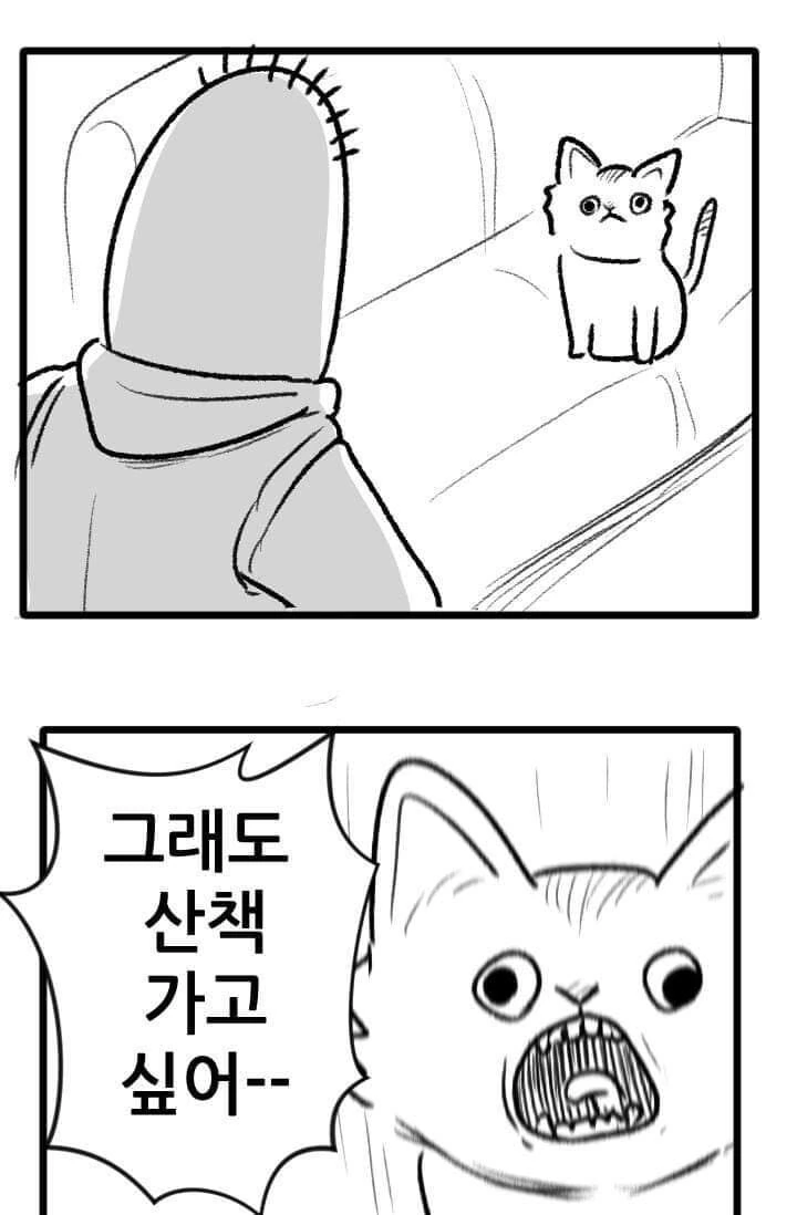 산책 가고 싶은 고양이 manhwa - 이미지 27