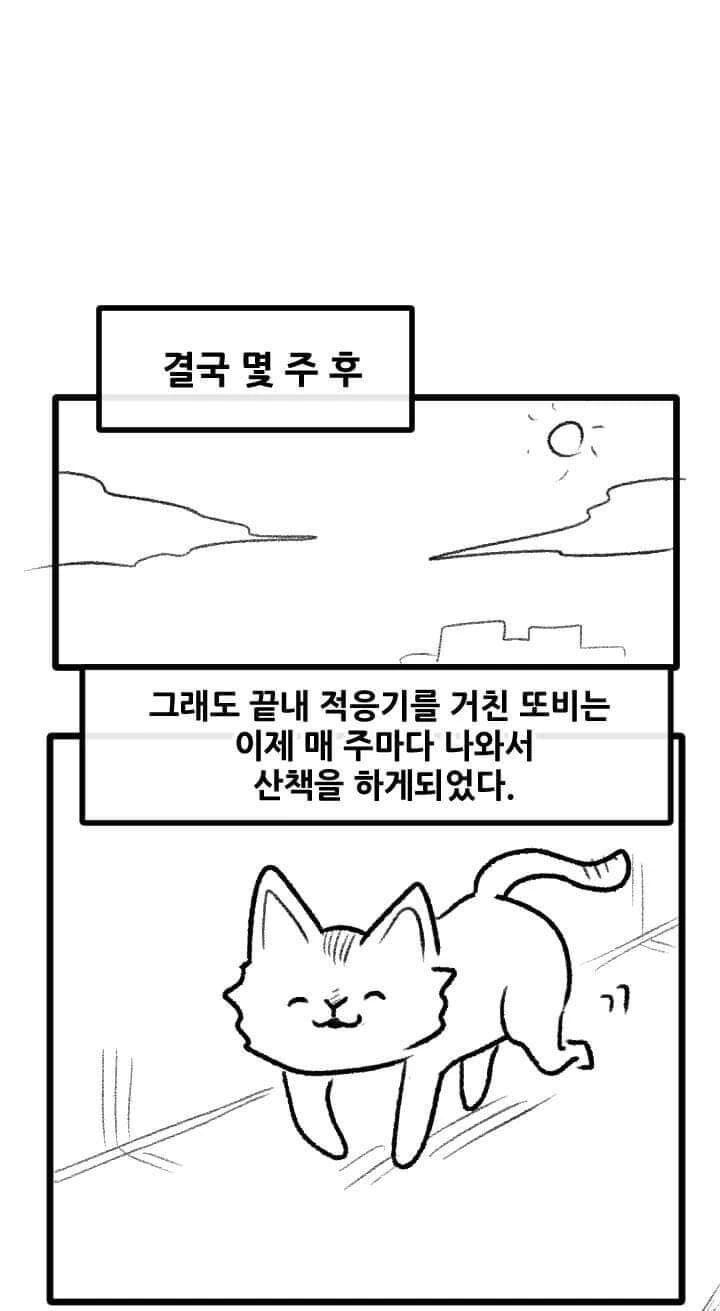 산책 가고 싶은 고양이 manhwa - 이미지 29