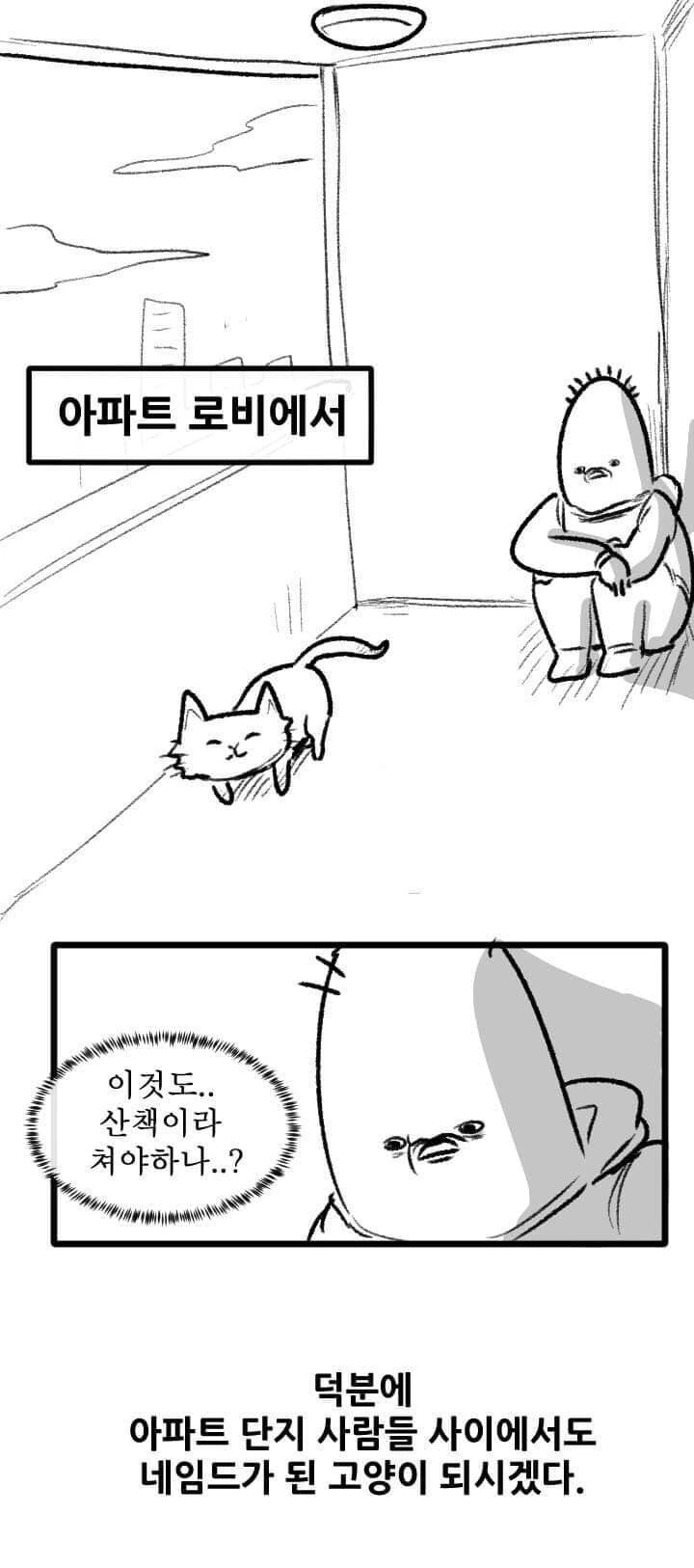 산책 가고 싶은 고양이 manhwa - 이미지 30