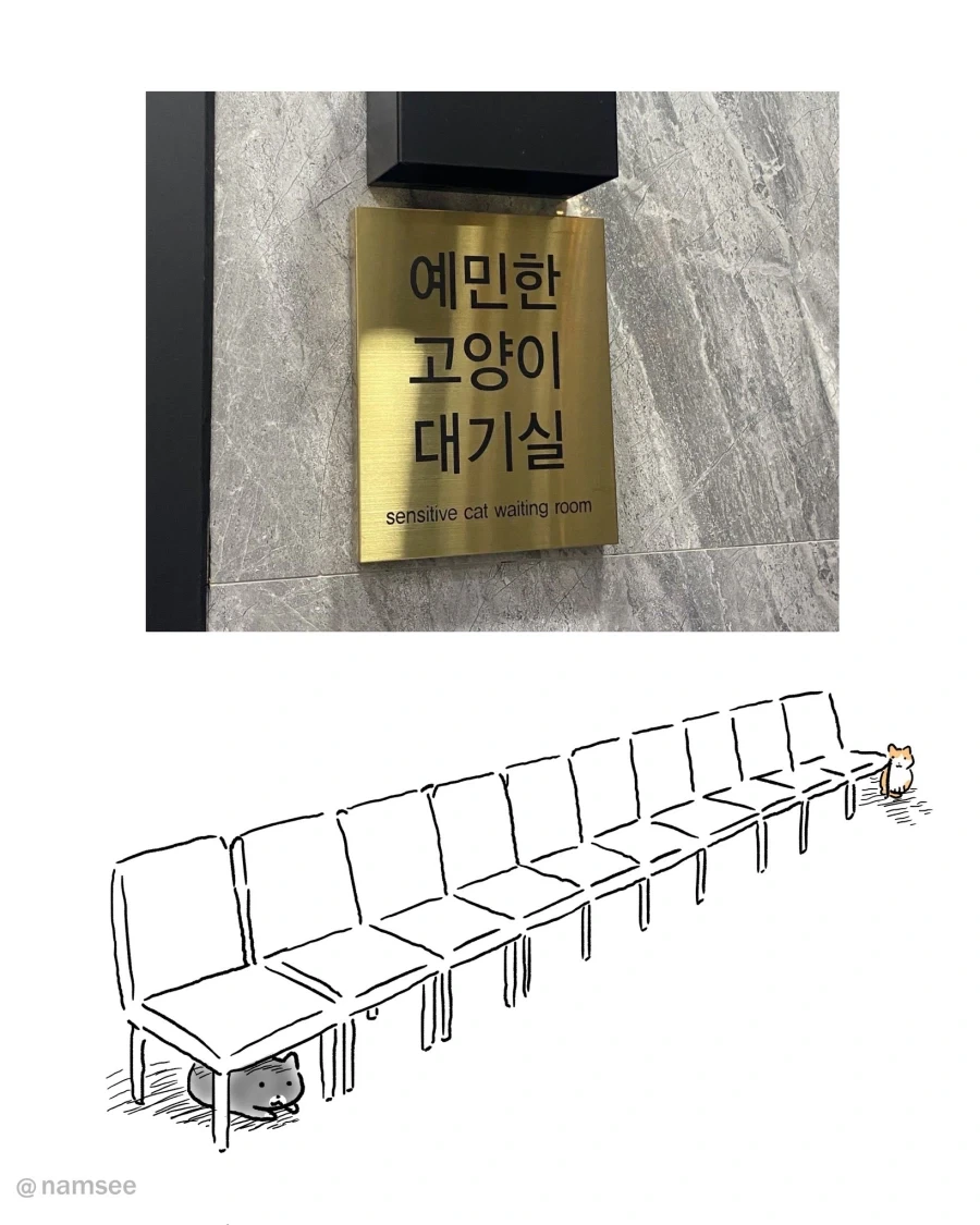 [만화] 강아지 대기실과 고양이 대기실 - 이미지 2
