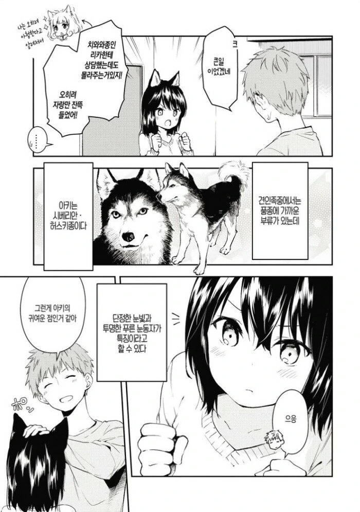 강아지계 여자친구 만화 manga - 이미지 7