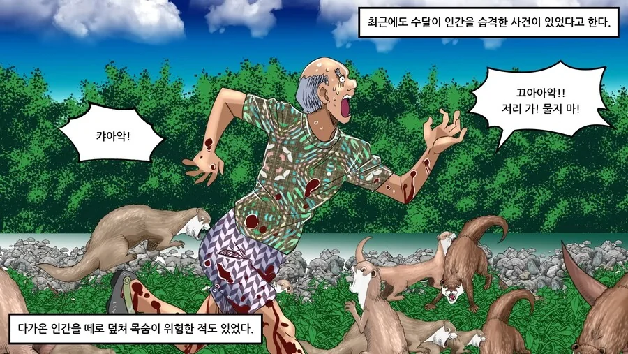 약혐) 의외로 만나면 죽을수도 있는 동물.manhwa - 이미지 29