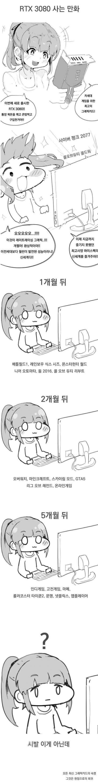 RTX3080 사는 만화