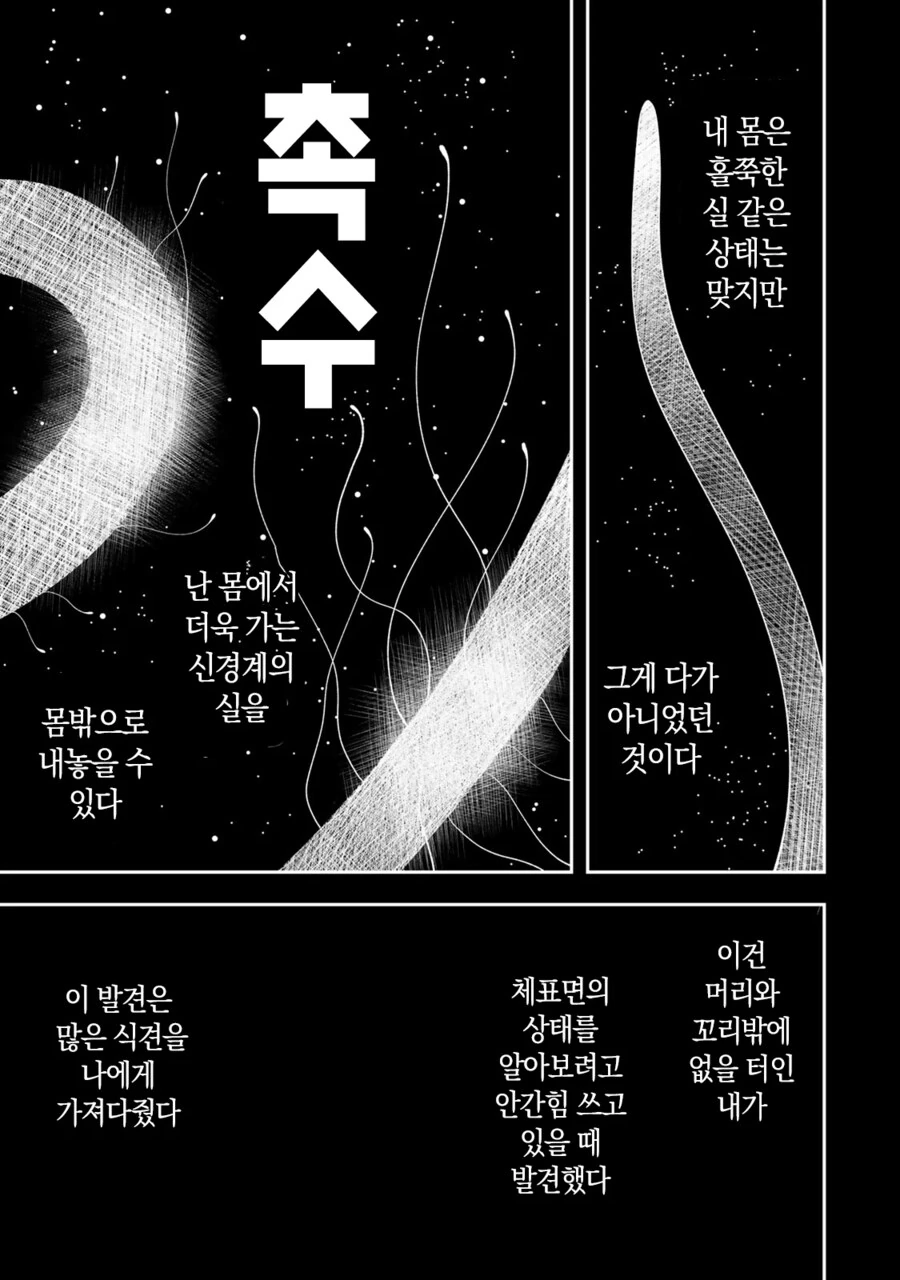 네 가까이에서 지켜보고 있다 왕녀 만화 - 이미지 35