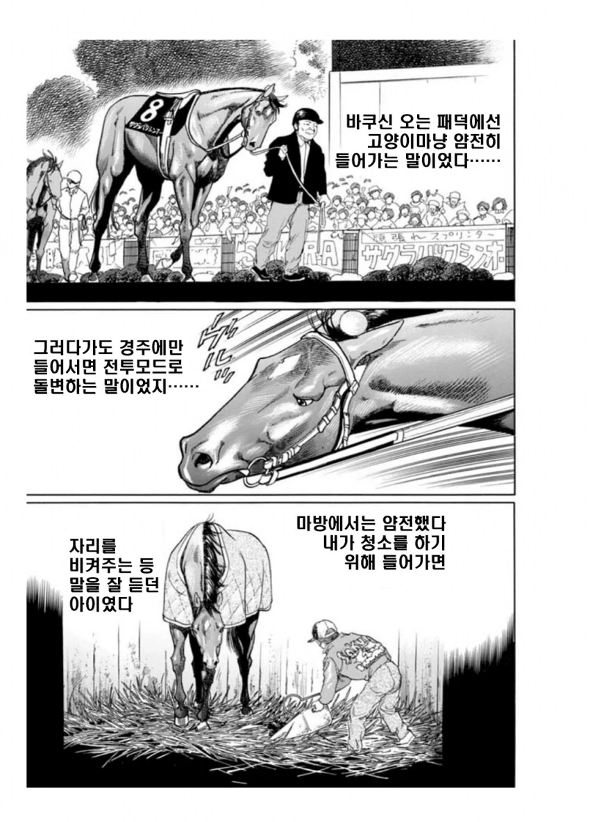 말딸?) 사쿠라 바쿠신 오 : 슬픔은 지나가는 비일 뿐.manhwa - 이미지 21