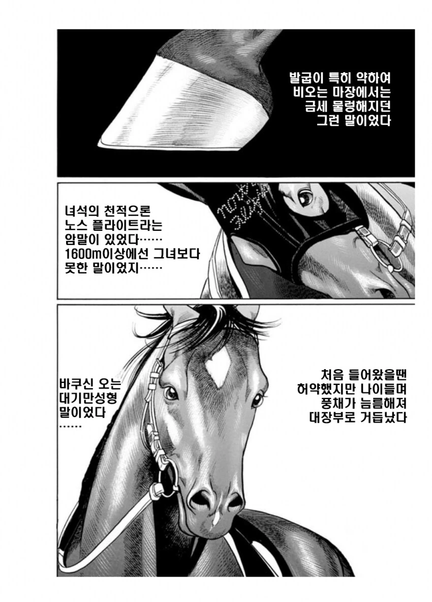 말딸?) 사쿠라 바쿠신 오 : 슬픔은 지나가는 비일 뿐.manhwa - 이미지 22