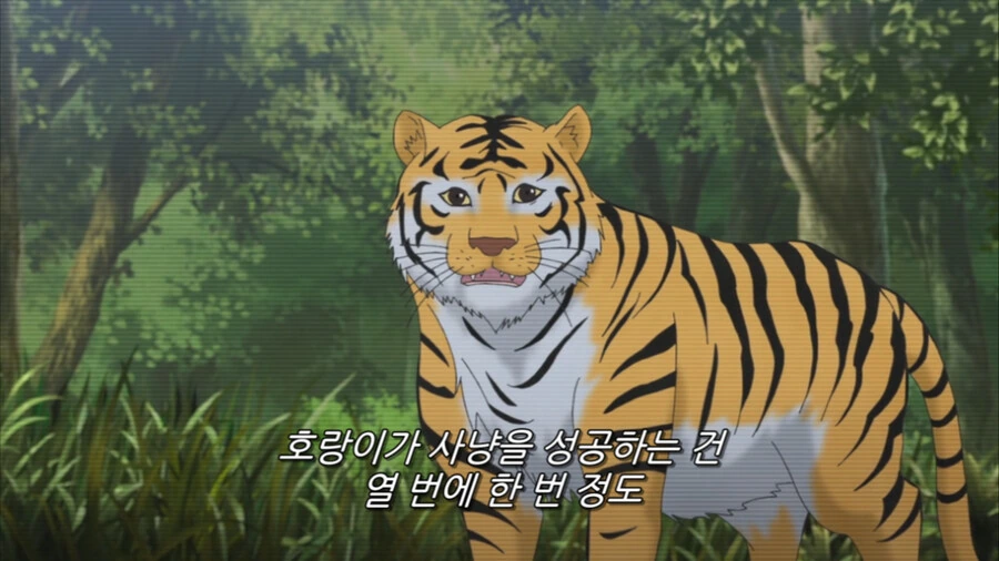 사냥에 실패한 호랑이의 표정 - 이미지 2