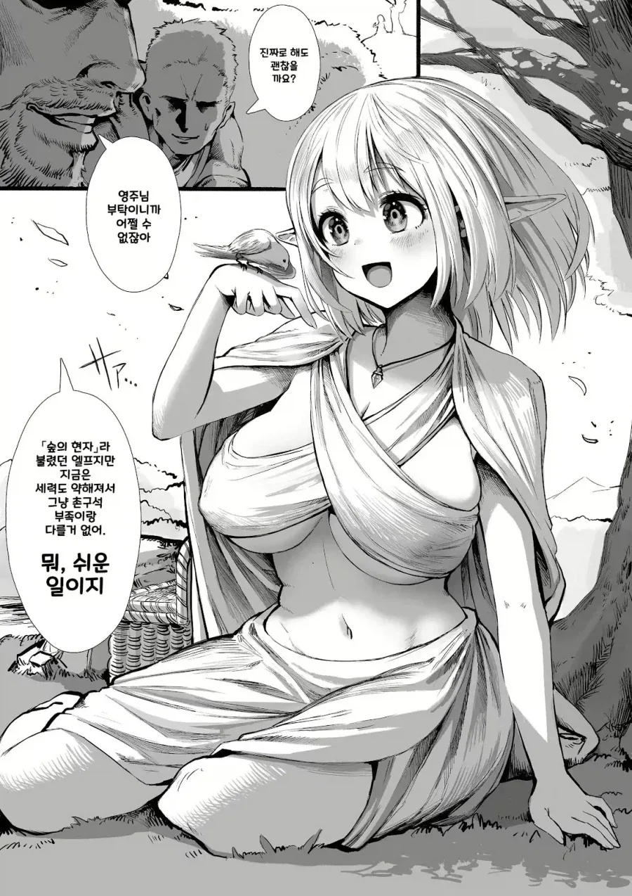 너덜너덜한 엘프와 약장수.....manwha