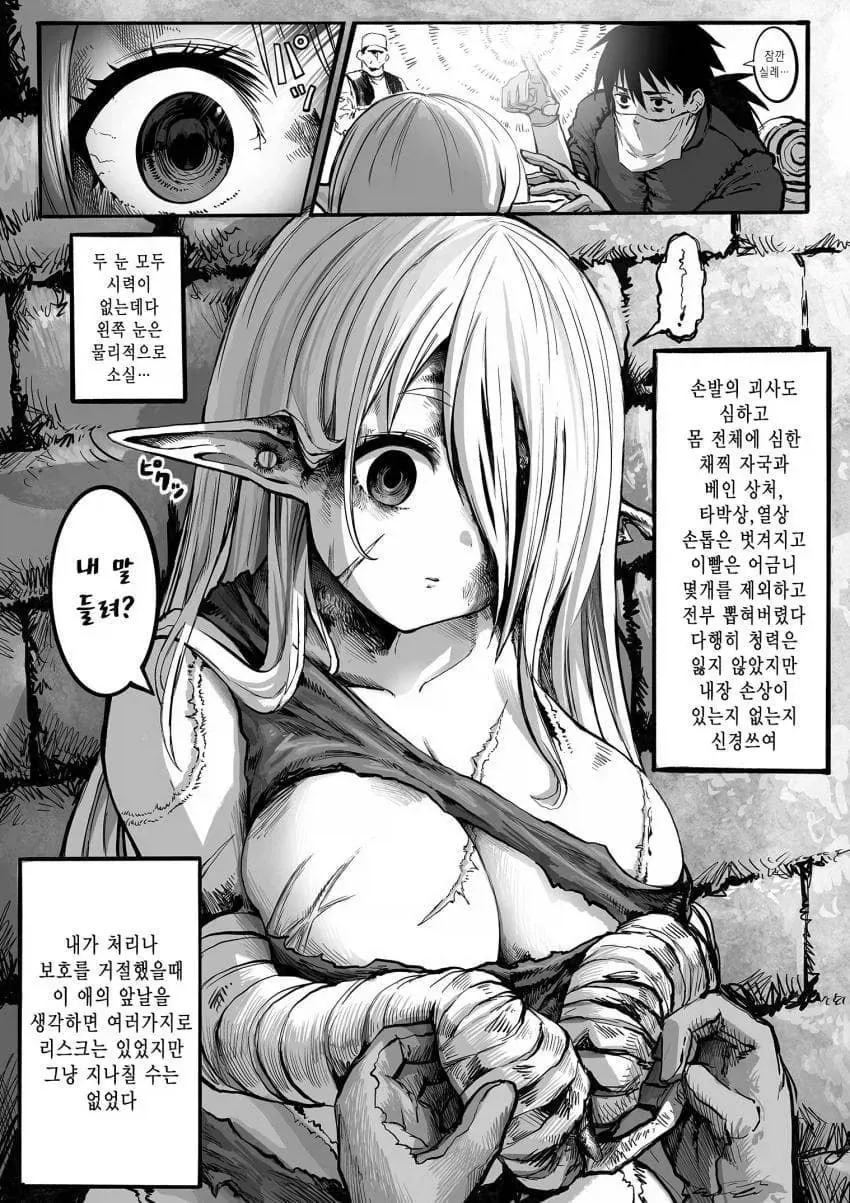 너덜너덜한 엘프와 약장수.....manwha - 이미지 4